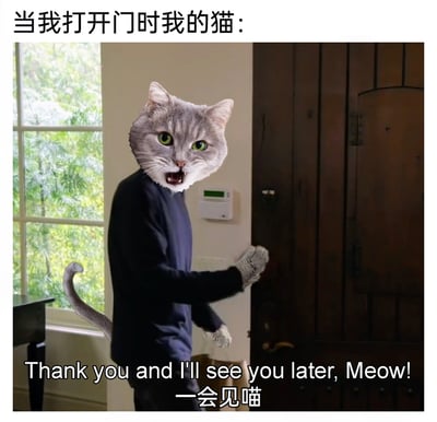 这是一张趣味P图，创作者将人类开门的画面与猫咪的头部、爪子手套和尾巴合成，模拟主人打开门时猫咪的反应。图上方配有文字“当我打开门时我的猫：”，下方配文“Thank you and I'll see you later, Meow! 一会见喵”，生动地表现出猫咪在门被打开时，迫不及待想要出门、毫无留恋的状态，用拟人化的方式调侃猫咪向往户外、热爱自由的天性，充满搞笑趣味，精准戳中养猫人的日常共鸣点。