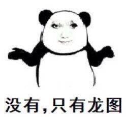 这是一张经过P图改编的熊猫头表情包，将熊猫头的脸部替换为真人的脸，熊猫头双臂摊开，摆出无所谓的姿态，下方配有文字“没有，只有龙图”。图中用戏谑的语气表达只认可“龙图”相关内容，常用于社交聊天中回应他人，拒绝其他内容，传递出一种坚持且搞笑的情绪。