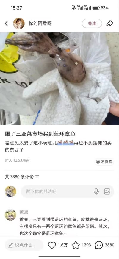 这是一张小红书社交平台的帖子截图，顶部为发帖用户“你的阿柔呀”的账号信息，配图是用户购买的一只带有深色斑点的小章鱼，配文表示自己在三亚菜市场买到了剧毒的蓝环章鱼，差点危及生命，吐槽以后再也不会买小摊售卖的商品，发布定位为海南。下方评论区有一条获赞1.6万的高赞评论，先科普不要见到带蓝环的章鱼就判定为蓝环章鱼，不少有少量蓝环的是章鱼的卵鞘，随后转折表示用户买到的这只确实是蓝环章鱼，形成强烈的反转笑点，是该帖走红的核心原因。