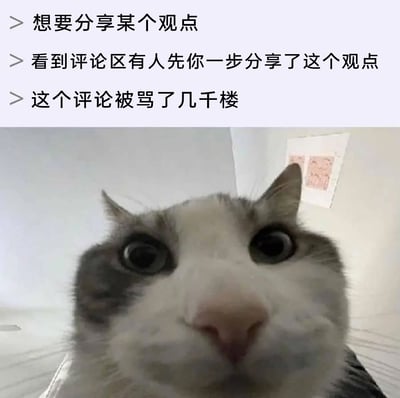 这是一张图文结合的搞笑表情包，上方以三段文字串联出一个网络社交场景：用户原本打算分享某个观点，却发现评论区里已经有人提前发布了相同的观点，而这条评论还被网友骂了几千楼。下方搭配一张近距离拍摄的猫咪照片，猫咪眼睛圆睁，面部凑近镜头，表情既惊讶又带着明显的庆幸感，精准地诠释了那种差点“踩雷”发表争议观点，却因提前看到他人“翻车”而躲过一劫的微妙心情，生动还原了网络冲浪时的真实情绪。