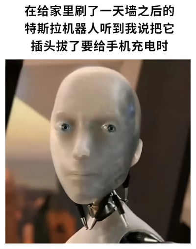 图片上方为黑色文字描述场景：“在给家里刷了一天墙之后的特斯拉机器人听到我说把它插头拔了要给手机充电时”。下方是特斯拉人形机器人的头部特写，机器人拥有白色光滑的面部、蓝色眼睛和金属质感的颈部关节，表情平静略带呆滞，整体营造出机器人辛苦工作后听到要被中断充电时的幽默反差感。