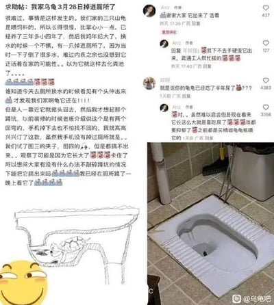 这张图是社交媒体热帖的拼接内容，左侧是百度贴吧用户Anz发布的求助帖：楼主饲养了近4年的山龟在3月26日被长辈换水时不慎掉进蹲厕，楼主原本以为乌龟已经被冲入化粪池，后续发现乌龟卡在带有回弯设计的蹲坑管道内仍然存活，尝试夹子等工具都无法将其取出，因此发帖求助不敲碎蹲坑取出乌龟的方法，还附带了手绘的蹲坑结构卡着乌龟的示意图，左下角搭配了斜眼笑的表情包；右侧是该帖的评论区后续，楼主先是置顶回复告知大家乌龟已经被疏通工人成功拔出、仍然存活，有网友调侃乌龟是不是已经吃了半年屎，楼主回复确认该说法，称自己之前一直给乌龟喂精饲料，没想到它靠吃粪便存活，自己大受冲击，右下角还附带了现场的蹲厕实拍图，右下角有水印显示内容出自百度贴吧乌龟吧。