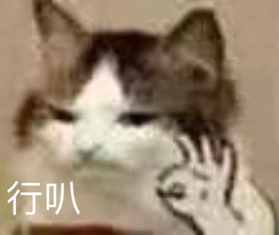 图片中是一只面部略显模糊的猫，它正抬起一只爪子靠近脸部，做出类似挥手或比划的手势。图片左侧配有白色文字“行叭”，整体营造出一种无奈、勉强同意的氛围，常被用作聊天中表达不情愿接受或敷衍回应的表情包。