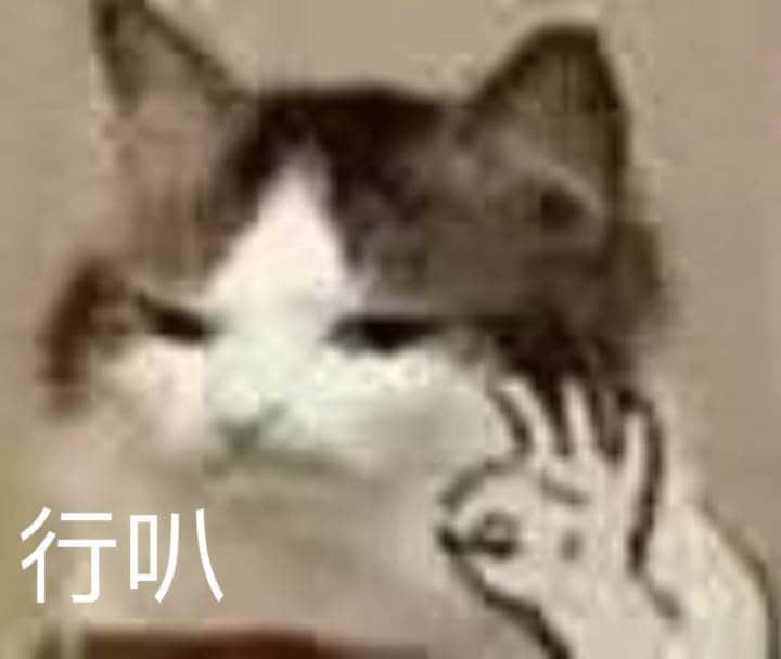 摆出手势的猫配文行叭表情包