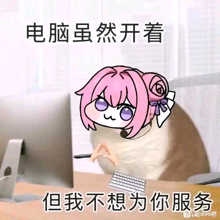 电脑开着但不想服务的Doro