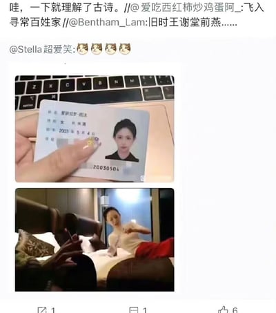 本图由两张图片组成：上图为一只手拿着身份证，显示出生年份为2003年，下图为两人在酒店房间的场景。配文引用古诗“旧时王谢堂前燕，飞入寻常百姓家”，将古诗中‘燕子’飞入寻常家庭与身份证主人进入酒店场景结合，形成网络双关与调侃，带有轻微的暧昧与讽刺色彩。该图解读为现代情境下古诗意境和社会现象的结合，是典型的网络梗表达。涉及“双关梗”，用古文影射现实情景。