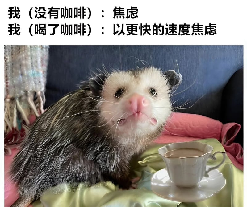 负鼠