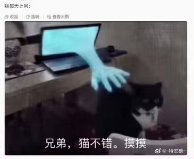 图片展示了一张日常场景的改图：桌上放着一台笔记本电脑，屏幕发出蓝光，一只蓝色半透明的“幽灵手”从屏幕中伸出，轻轻抚摸着桌前一只低头进食的黑白猫。图片上方配有文字“我每天上网:”，底部则有对白“兄弟，猫不错。摸摸”。整体通过拟人化的网络（以电脑手为象征）与现实中的猫咪互动，幽默地表现了网友在上网时看到可爱猫咪内容时的亲切感和互动欲望，营造出轻松有趣的氛围。