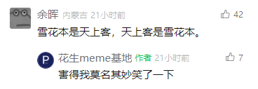 这是一张社交媒体评论区的截图，来自账号“花生meme基地”的内容评论区。用户“余晖”发布了一条采用循环调换语序方式的评论：“雪花本是天上客，天上客是雪花本。”，通过简单的语序重复构建出无厘头的文字趣味；账号作者“花生meme基地”随后回复“害得我莫名其妙笑了一下”，直白地表达出这条循环评论带来的笑点，整体氛围轻松诙谐，展现了社交平台上用户通过趣味文字互动的场景。