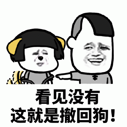 看见没有这就是撤回狗表情包