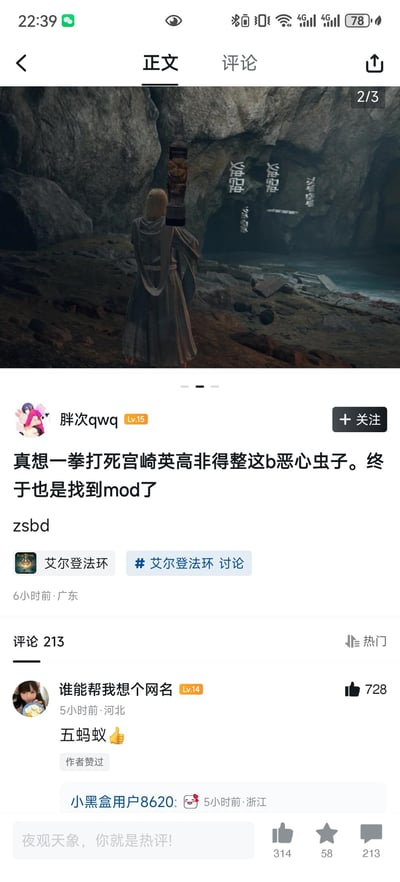 社交媒体截图展示了一位《艾尔登法环》玩家在游戏社区平台上发布的内容。帖子包含一张游戏截图，显示一个穿着长袍的角色站在洞穴中面对着带有文字的墙壁，以及一段玩家表达对游戏中"恶心虫子"的不满并提到找到mod解决的文字内容。下方还有其他用户的评论互动，其中一条热门评论获得了728个赞。