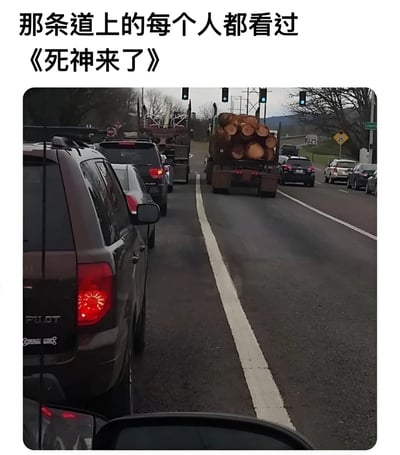 图片展示了一段道路上的交通场景，多辆汽车在道路上行驶，前方有一辆装载着大量原木的卡车。图片上方配有文字“那条道上的每个人都看过《死神来了》”，通过将现实中装载原木的卡车与电影《死神来了》中常见的危险场景进行联想，制造出一种幽默的调侃效果，暗示看到这样的卡车会让人联想到电影中可能发生的惊险意外。