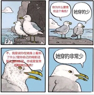这是一幅四格连环静态漫画，场景设定在海边的礁石区域，以拟人化的海鸥作为角色展开对话。第一格呈现两只海鸥站在礁石上的画面；第二格中，一只海鸥向另一只提问“你为什么要喜欢这个角色？”，被询问的海鸥直白回答“她穿的少”；第三格提问的海鸥试图将话题升华，带着激动的语气追问“不，我是说你在她身上看到了什么？是你自己的缩影还是生活的希望，亦或是宝贵的精神与品质？”；第四格被问的海鸥依旧不为所动，平静地强调“她穿的非常少”。漫画通过这种“升华话题”与“直白回答”的强烈反差，制造出幽默效果，同时讽刺了部分人对他人喜好进行过度解读的行为。