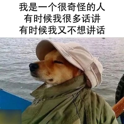 图片上半部分是黑色文字："我是一个很奇怪的人 有时候我很多话讲 有时候我又不想讲话"。下半部分是一只戴着浅色帽子和绿色外套的狗，它闭着眼睛，表情平静，背景是波光粼粼的水面。这张图通过拟人化的方式，用狗的形象来表达人们有时外向健谈、有时内向沉默的矛盾性格特点，引发观众共鸣。