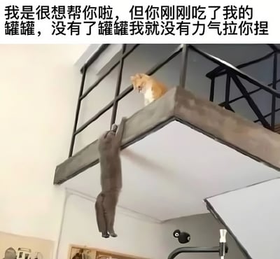 图片上方配有文字“我是很想帮你啦，但你刚刚吃了我的罐罐，没有了罐罐我就没有力气拉你捏”，下方是一张真实照片：一只橘猫坐在双层床的上铺边缘，低头看着下方；另一只灰猫则四肢抓住床沿，身体悬空吊在床外，呈现出需要被救助的姿态。整体场景通过拟人化的文字，幽默地表现了橘猫因“罐罐”（猫罐头）被吃而“拒绝”帮助灰猫的有趣互动。