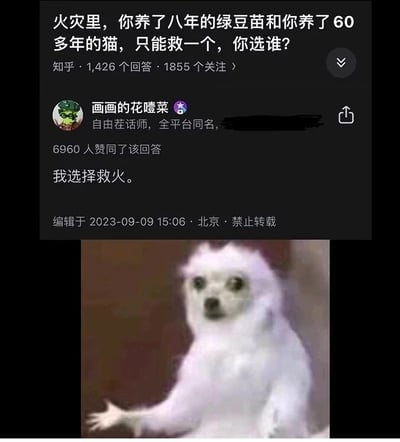 这是一张多图拼接的静态图，由知乎问答截图和一张合成搞笑图像组成。上半部分的知乎问答提出了一个带有荒诞感的选择题：在火灾场景中，只能在养了八年的绿豆苗和养了六十多年的猫之间二选一进行救助；用户“画画的花噎菜”给出了跳出题目设定选项的神回复“我选择救火”，这个回复没有局限在题目给出的两个选项里，而是选择解决火灾这个根源问题，既符合逻辑又出人意料，形成了强烈的幽默反差，该回复获得了6960人赞同，编辑时间为2023年9月9日，地点标注为北京，且标注禁止转载。下半部分是一张AI生成或P图改编的搞笑图像，是一个有着白色毛发、类似人类面部的虚构生物，它摊开一只手，表情惊讶，用来直观地表现出看到这个神回复时的意外、震惊情绪，进一步放大了回复的搞笑效果。