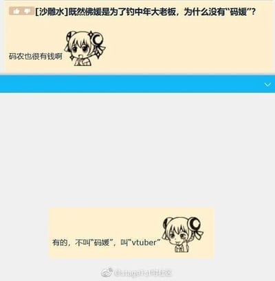 这是一张采用上下分栏图文混排形式的社交媒体梗图，整体为静态内容。上半栏是提问内容：“既然佛媛是为了钓中年大老板，为什么没有‘码媛’？码农也很有钱啊”，搭配一个带有好奇疑惑神态的卡通女孩表情图，其中“佛媛”是曾经的网络热词，指打着佛媛旗号实则营销、吸引高收入中年群体的女性，提问者以此类推，疑惑针对高收入码农群体的“码媛”为何不存在；下半栏是对应的回答：“有的，不叫‘码媛’，叫‘vtuber’”，搭配同款带有了然神态的卡通女孩表情图。这是一个网络调侃类梗，因为vtuber（虚拟主播）的核心受众群体中包含大量码农，且虚拟主播的运营模式会吸引观众进行打赏、消费，和“佛媛”吸引特定高收入群体的逻辑有相似的错位类比点，以此制造趣味笑点。