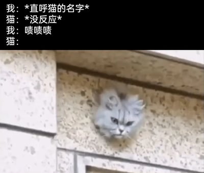 暂无描述