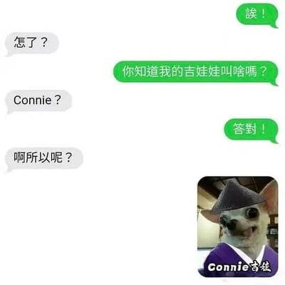 这是一张聊天对话形式的搞笑梗图，左侧是绿色和灰色的对话气泡，内容为两人关于吉娃娃名字的互动：一人问“你知道我的吉娃娃叫啥嗎？”，另一人猜测“Connie？”，提问者回答“答對！”，对方疑惑“啊所以呢？”。右下角是一张穿着紫色和服、戴着黑色帽子的吉娃娃照片，图片下方配有文字“Connie吉娃”。图中使用了谐音梗，将吉娃娃的名字“Connie”与“吉娃”（Chihuahua的音译）结合，形成趣味效果。