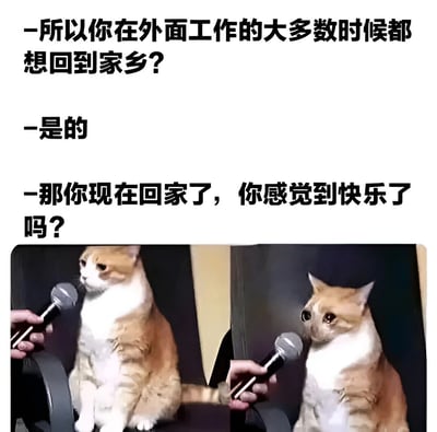 这是一张双图拼接的梗图，上方是三段对话文字，下方是两张猫咪接受采访的图片。对话内容围绕在外工作想回家乡以及回家后是否快乐的话题展开，形成一种生活感悟式的幽默。左图猫咪平静侧视，右图猫咪直视麦克风，表情微妙，通过猫咪的反应暗示了返乡后可能并非想象中快乐的复杂心情。
