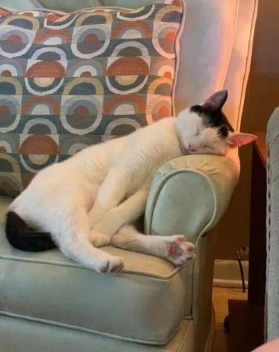 一只黑白相间的猫咪正蜷缩在浅蓝色扶手椅上熟睡，它通体雪白，仅头部和尾巴带有黑色斑块，双眼紧闭，耳朵自然垂下，前爪微微伸展，姿态十分放松。椅子靠背上放着一个色彩丰富的圆形图案靠垫，以橙色、灰色和白色为主色调，背景光线柔和，营造出温馨舒适的居家氛围，整体画面充满治愈感。