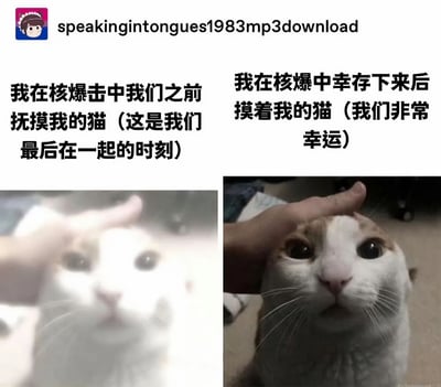 这是一张左右对比的搞笑梗图，通过夸张的文字与猫咪平静的表情形成反差幽默。左边图片中猫咪被抚摸的画面带有过度曝光效果，配文称这是核爆前与猫的最后时刻；右边图片中同一只猫表情平静地被抚摸，配文则表示核爆后幸存下来非常幸运。这种戏剧性的情节转折与猫咪淡定的表情形成鲜明对比，产生黑色幽默效果。