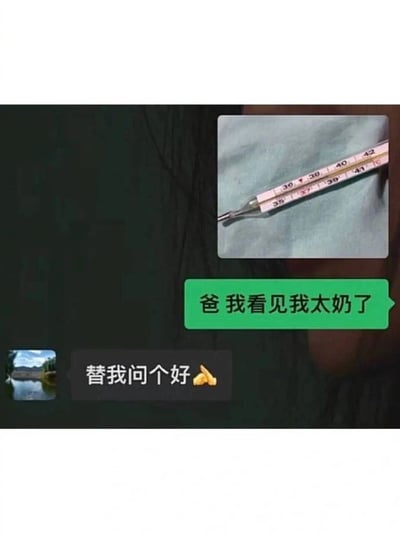 这是一张幽默梗图，展示了一个聊天界面。上方有一张体温计的照片，显示温度刻度。下方聊天记录中，孩子发消息说："爸 我看见我太奶了"，爸爸回复："替我问个好🙏"。图片通过夸张的方式表现发烧时的胡话，形成黑色幽默效果。