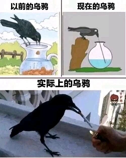 《乌鸦喝水》