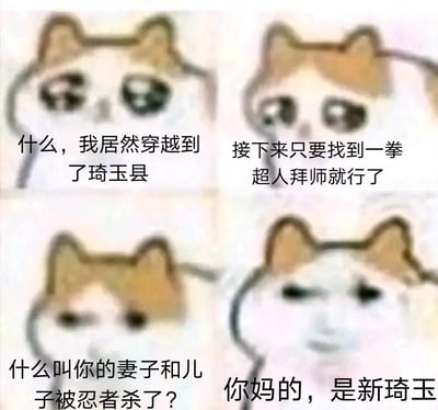 这是一张由四格流泪猫表情包改编的搞笑梗图，讲述了一个人穿越到“琦玉县”后，误以为是《一拳超人》主角琦玉所在的世界，满心期待想要拜师变强，结果发现这里是现实中的琦玉县，没有琦玉老师，梦想瞬间破灭的故事。
玩了谐音梗：将《一拳超人》的主角琦玉与现实日本的琦玉县混淆，制造出梦想与现实的反差感，带来搞笑效果。