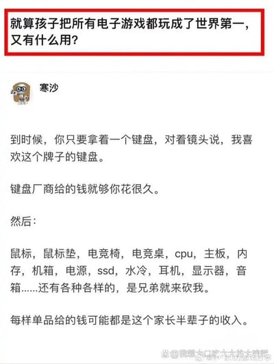 这是一张社交媒体评论截图，顶部用红色边框标注了网友的提问“就算孩子把所有电子游戏都玩成了世界第一，又有什么用？”，下方是网名为“寒沙”的用户发布的回复内容，回复指出如果孩子真的成为全品类电子游戏的世界第一，仅需为键盘、鼠标、电竞外设、数码硬件等各类相关产品代言，每样单品的代言收入就有可能超过提出该疑问的家长半辈子的收入，直接反驳了“玩游戏就算做到顶尖也没有价值”的错误认知，体现了大众对电竞行业商业价值的认知和部分传统观念之间的冲突。