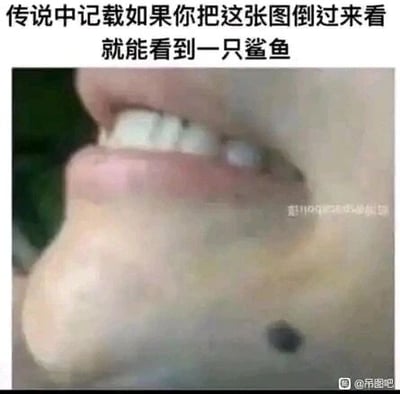 这是一张利用视觉错位原理制作的静态趣味图，图中展示了一个真人的下半张脸，包含嘴唇、牙齿以及带有一颗黑痣的下巴。图的顶部配有文字提示“传说中记载如果你把这张图倒过来看就能看到一只鲨鱼”，当将图片倒置后，原本的下巴区域会视觉上变成鲨鱼的头部，下巴上的黑痣类似鲨鱼的眼睛，嘴唇和牙齿的形态则对应鲨鱼的嘴部结构，通过视觉错觉的创意设计制造出趣味效果，让同一幅图在不同视角下呈现出两种完全不同的形象。