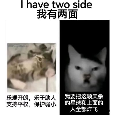 这是一张左右对比的梗图，顶部配有文字'I have two side 我有两面'。左侧是一只模糊的猫咪，下方文字描述其'乐观开朗，乐于助人，支持平权，保护弱小'的正面形象；右侧是一只表情凶狠的白猫，下方文字则是极具反差的'我要把这颗天杀的星球和上面的人全部炸飞'，通过强烈的性格对比制造幽默效果。