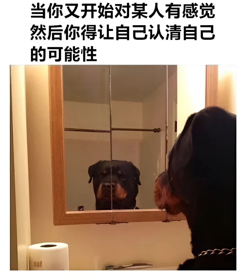 罗威纳犬