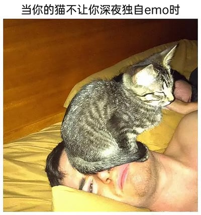 这张图片展示了一个赤裸上身的男子躺在床上，一只虎斑猫闭着眼睛，整个身体趴在男子的脑袋上，男子半睁着眼，神情带着无奈。图片上方配文“当你的猫不让你深夜独自emo时”，生动地诠释了猫咪用这种强势又亲昵的方式，打断主人深夜的低落情绪，既搞笑又充满温暖，体现了宠物在人们情绪低落时带来的治愈陪伴感，戳中了很多养宠人在深夜情绪低落时被宠物安慰的共鸣点。