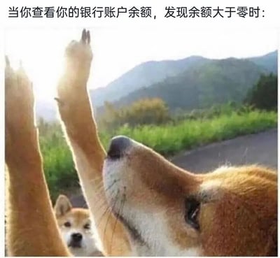 图片展示了两只柴犬在户外场景中，前景的柴犬兴奋地举起前爪仰望天空，背景有山脉和绿色植被。图片上方配有文字：'当你查看你的银行账户余额，发现余额大于零时：'，通过柴犬兴奋的姿态幽默表现人们发现银行账户有余额时的惊喜反应。