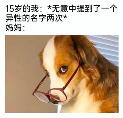 这是一张精准戳中青春期家庭日常的图文混排梗图，上方文字设定场景：15岁的青春期孩子无意中两次提到某个异性的名字，下方用一只戴着眼镜、眼神带着八卦又了然审视感的狗狗来具象化妈妈的反应。狗狗的神态生动还原了家长在捕捉到孩子青春期情感相关细节时，那种瞬间看穿孩子小心思、带着八卦感的状态，非常贴合现实中青春期孩子与家长互动的趣味瞬间，容易引发网友的共鸣。
