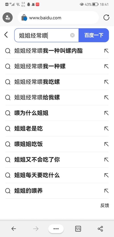 手机屏幕截图展示百度搜索界面，用户在搜索框输入"姐姐经常喂"后，系统显示了一系列自动补全建议。这些建议包括"姐姐经常喂我一种叫螺内酯"、"姐姐经常喂我一种螺"、"姐姐经常喂我吃螺"等多个相关搜索选项。界面上方显示网址www.baidu.com，搜索框右侧有蓝色的"百度一下"按钮。