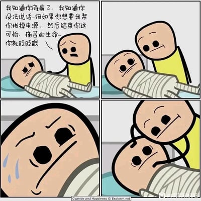 这是一则出自《氰化欢乐秀》的四格黑色幽默卡通漫画。第一格中，一位全身被绷带包裹、瘫痪在床的病人面前，站着一位面露同情的访客，访客对病人表示，知道他瘫痪无法说话，如果病人想要结束痛苦的生命、让自己帮忙拔掉生命维持设备的电源，就眨眨眼。第二格中，病人眨动了眼睛，访客随即露出了理解的微笑。第三格是病人的面部特写，他满脸泪水，神情绝望痛苦，显然他的眨眼并非同意结束生命，而是出于痛苦或拒绝，但访客完全误解了他的意思。第四格中，访客动手按住病人的眼皮，似乎在“执行”病人的“请求”，神情得意，而病人则陷入更深的绝望，整个情节以荒诞残酷的误解制造出黑色幽默的效果，讽刺了这种自以为是的“善意”。