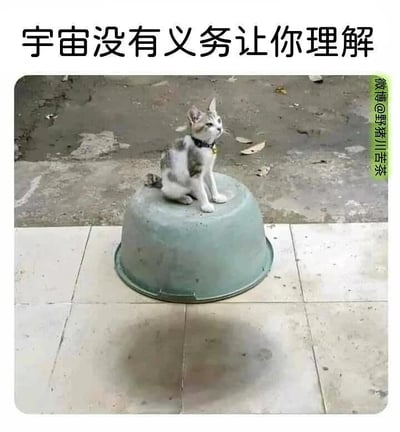 这是一张利用视觉错觉制作的搞笑梗图。画面中一只戴着黑色项圈的灰白小猫，平静地坐在一个倒扣的灰绿色塑料盆上，而地面上的阴影却呈现出塑料盆正放时的形态，形成了违背日常逻辑的视觉反差。图片上方配有文字“宇宙没有义务让你理解”，将这个无法用常规常识解释的视觉巧合，调侃成宇宙中“不讲道理”的奇妙现象，用荒诞的氛围来吐槽那些难以理解的人和事。