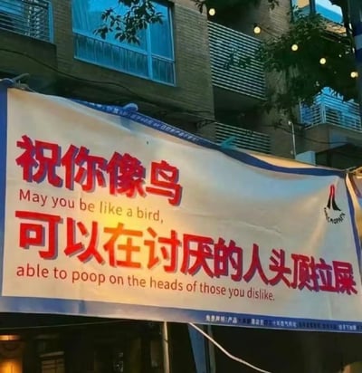 这是一张户外实拍的横幅照片，横幅以白色为底色、蓝色包边，上面用醒目的红色字体搭配英文翻译，写着搞怪标语：“祝你像鸟
May you be like a bird,
可以在讨厌的人头顶拉屎
able to poop on the heads of those you dislike.”。背景是带有阳台和绿植的居民楼，横幅右下角印有“MOMOPAPA”的品牌标识。这句标语用戏谑、直白的具象化表达，传递出对讨厌对象的吐槽与发泄情绪，风格接地气又搞笑。