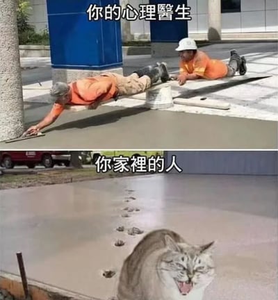这是一张上下对比梗图，上半部分显示两名建筑工人正在认真抹平刚浇筑的混凝土，配文'你的心理医生'；下半部分显示一只猫走过未干的混凝土留下一串脚印，配文'你家裡的人'。图片通过幽默的方式对比了心理医生专业地处理问题与家人不经意间制造麻烦的场景。