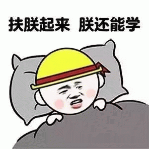 扶朕起来朕还能学 - 学习励志梗图