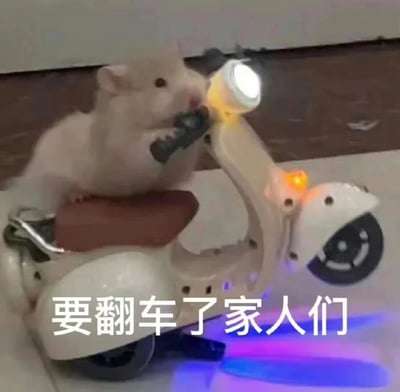 一只可爱的白色仓鼠正骑在一辆小型玩具摩托车上，摩托车的头灯还亮着，看起来非常逼真。仓鼠两只前爪紧紧抓住车把，身体微微前倾，似乎正在努力保持平衡。摩托车的设计非常精致，甚至还有一个小小的白色头盔挂在车把上。图片底部有一行文字：'要翻车了家人们'，幽默地表达了仓鼠骑车摇摇欲坠、快要翻车的滑稽场景。整个画面充满了趣味性和可爱感，让人忍俊不禁。