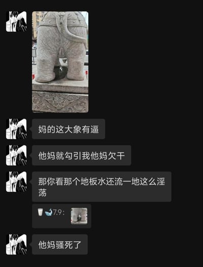 这是一张黑色背景的即时通讯聊天记录截图，左侧有一位使用黑白动漫男性形象作为头像的用户，首先发布了一张户外石质大象雕塑后半部分的实拍照片，照片可见大象底座下方存在积水。随后该用户连续发布多条措辞粗俗的言论，恶意对无生命的石象进行低俗化、女性化的恶意臆想，将大象的生理结构和底座的积水恶意解读为低俗意象。另有一位昵称为“7.9”的用户回复了该石象的同款小图后，前述发布低俗言论的用户又追加了粗俗的辱骂类发言，整体内容恶俗低俗。