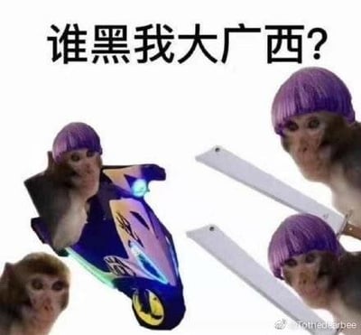 这是一张以维护广西地域形象为主题的搞笑合成梗图，图中将戴着紫色假发的猴子形象进行创意合成：一只猴子骑着带有灯光特效的酷炫改装摩托，另外三只猴子手持类似刀具的物品，配合顶部醒目的文字“谁黑我大广西？”，用夸张戏谑的硬核姿态，表达对抹黑广西言论的不满，以玩梗的方式展现出维护家乡的强烈态度，风格搞笑又充满气势。