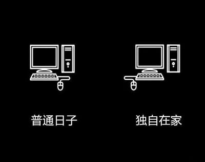 这是一张左右对比的线稿梗图，左侧标注“普通日子”，呈现的是常规的电脑键鼠摆放方式：鼠标连接在键盘的右侧；右侧标注“独自在家”，则是把鼠标连接在键盘的左侧。这一细节调侃了独自在家时，人们不用在意他人眼光，会完全按照自己舒服的方式来布置使用设备的状态，十分贴合独居时随性自在的日常，没有双关、谐音梗等内容。