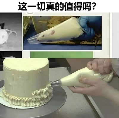 这是一张幽默风格的拼接梗图，上方配有文字"这一切真的值得吗？"。图片主体分为两部分：上半部分显示一只老鼠钻进了裱花袋中，下半部分则是一个人正在用裱花袋给蛋糕裱花。通过这种荒诞的对比，引发观众对付出与回报的幽默思考。