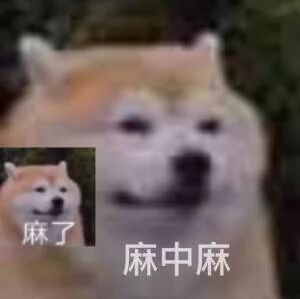 这是一张经过P图改编的文字加注表情包，采用多图拼接的形式呈现，图中包含一大一小两个Cheems柴犬的形象，左侧小图配文“麻了”，占据主要画面的大图配文“麻中麻”，通过递进式的文字和柴犬呆滞麻木的丧系表情，生动地传递出从普通的疲惫无奈升级到更强烈的身心俱疲、麻木无力的情绪，十分贴合当代人在面对工作、生活中的压力与繁琐事务时的心境，常被用于网络社交场景中抒发负面情绪。
