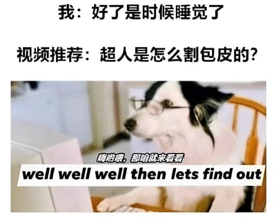 这张梗图展示了一个很多人都有过的经历：当你下定决心要睡觉时，却被一个离谱的视频推荐吸引。图片上方文字写着"我：好了是时候睡觉了"，表达了想要睡觉的决心。中间文字显示"视频推荐：超人是怎么割包皮的？"，用一个荒诞不经的问题作为推荐内容。下方是一张戴着眼镜的狗坐在电脑前的图片，配上文字"嗨哟喂，那咱就来看看 well well well then lets find out"，幽默地表现了人们在面对这种离谱推荐时难以抑制的好奇心。