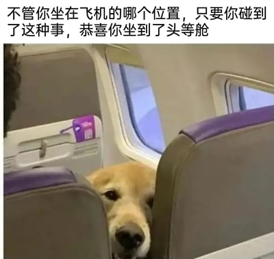 暂无描述